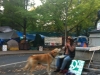 occupy portland