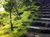 japanese garden steps portland oregon